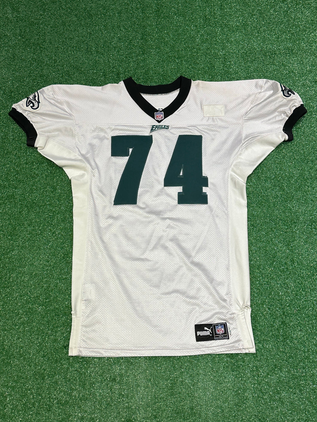 PUMA Team Issued Philadelphia Eagles 