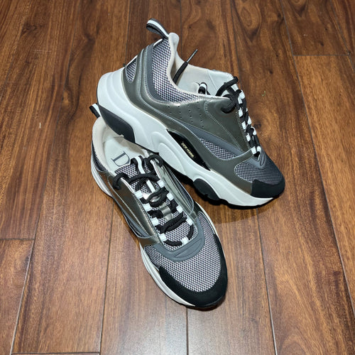 Dior Trainer B22