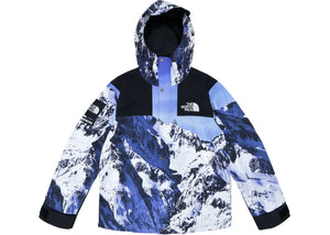 Supreme The North Face Mountain Parka – CommonGround12